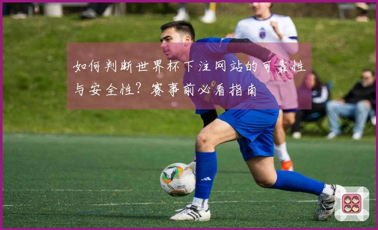 如何判断世界杯下注网站的可靠性与安全性？赛事前必看指南