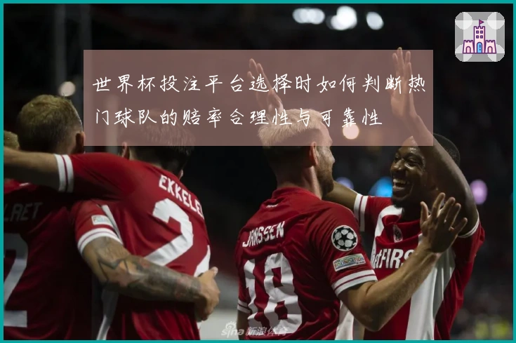 世界杯投注平台选择时如何判断热门球队的赔率合理性与可靠性