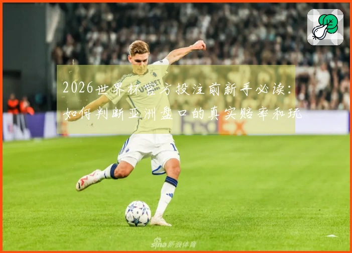 2026世界杯官方投注前新手必读：如何判断亚洲盘口的真实赔率和玩法？