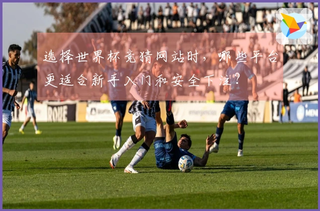 选择世界杯竞猜网站时，哪些平台更适合新手入门和安全下注？