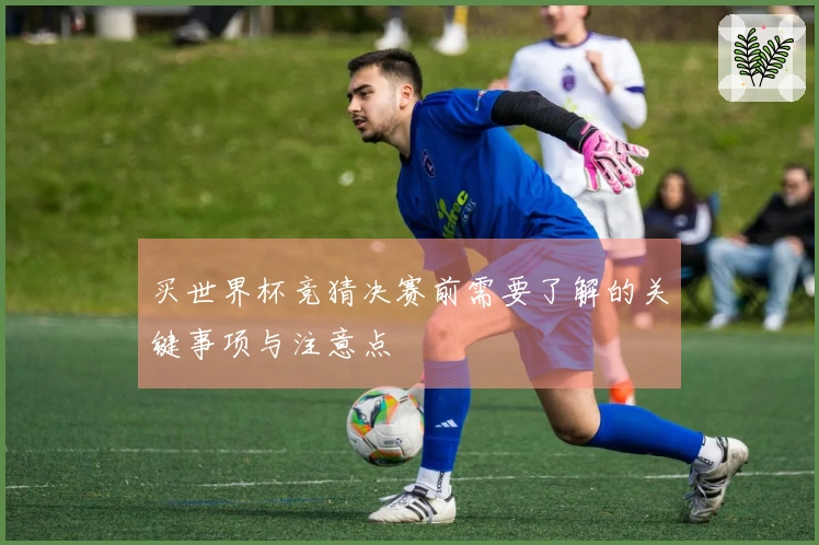 买世界杯竞猜决赛前需要了解的关键事项与注意点
