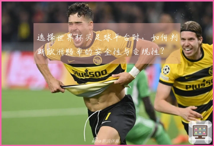 选择世界杯买足球平台时，如何判断欧洲赔率的安全性与合规性？