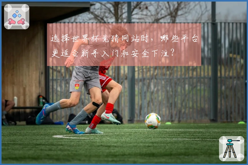 选择世界杯竞猜网站时，哪些平台更适合新手入门和安全下注？