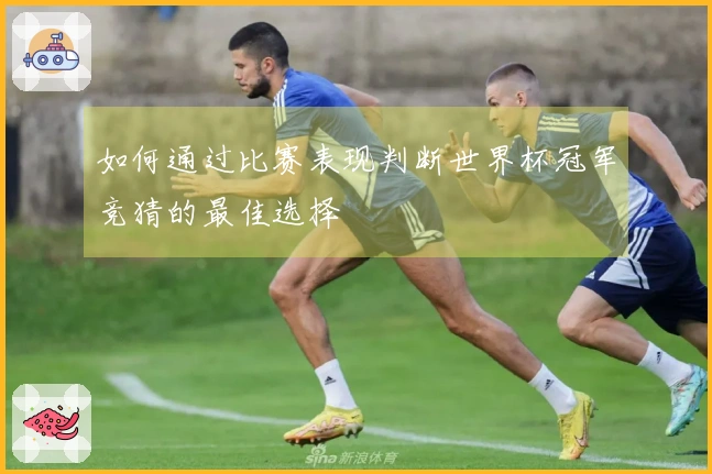 如何通过比赛表现判断世界杯冠军竞猜的最佳选择